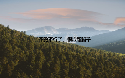 “不改不行了, 得找新路子