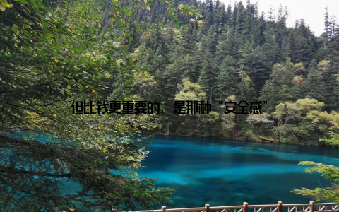 但比钱更重要的, 是那种“安全感”