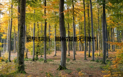 但熬过来后, 那种成就感无可替代