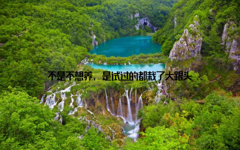 不是不想养, 是试过的都栽了大跟头
