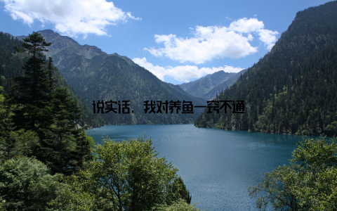 说实话, 我对养鱼一窍不通