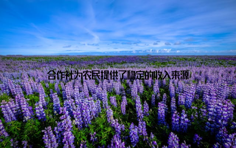 合作社为农民提供了稳定的收入来源