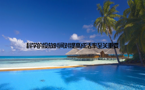 科学的投放时间对提高成活率至关重要