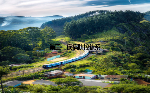 第三, 疾病防控体系