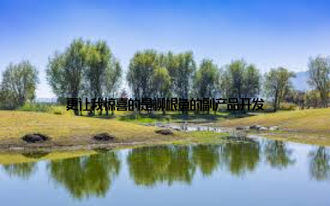 更让我惊喜的是柳根鱼的副产品开发