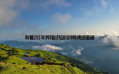 有着20年养殖经验的刘师傅感慨道