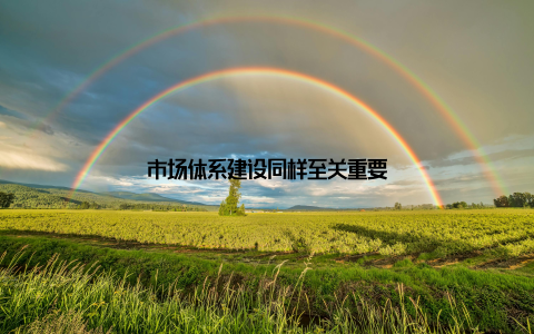 市场体系建设同样至关重要