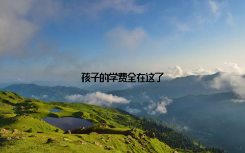 孩子的学费全在这了