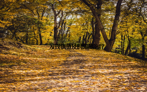 – 发现病鱼及时隔离治疗