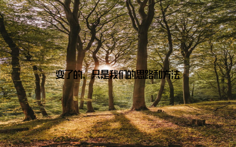 变了的, 只是我们的思路和方法