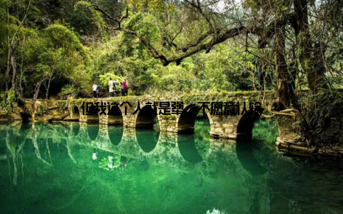 但我这个人就是犟, 不愿意认输
