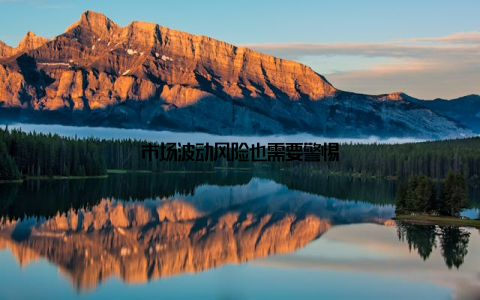 市场波动风险也需要警惕