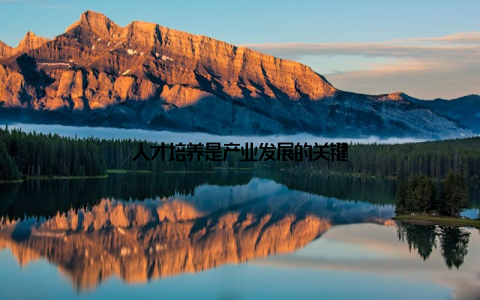 人才培养是产业发展的关键