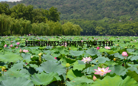 短视频营销成为年轻养殖户的拿手好戏