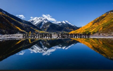 各阶段分塘养殖, 大幅提高养殖效率