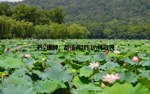 无论哪种, 都值得我们心怀敬畏