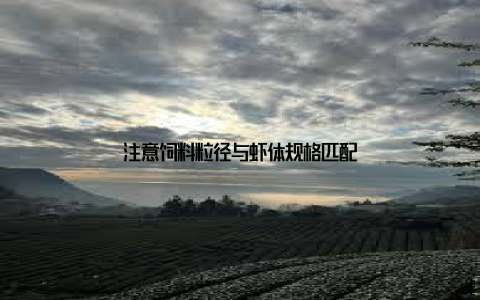 注意饲料粒径与虾体规格匹配