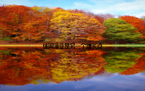 休闲渔业是另一个增长点