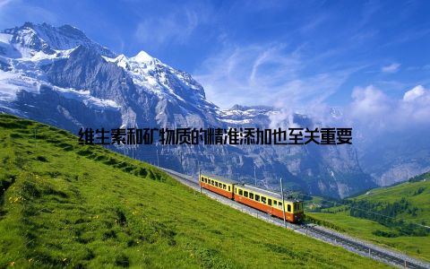 维生素和矿物质的精准添加也至关重要