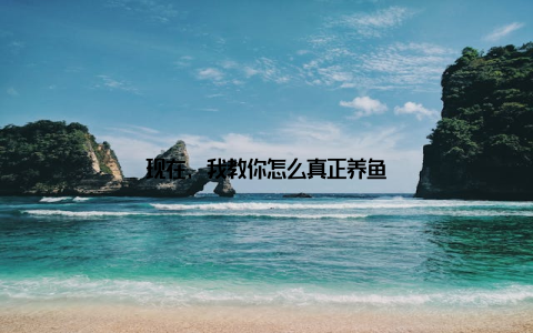 现在, 我教你怎么真正养鱼