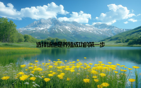 选择场地是养殖成功的第一步