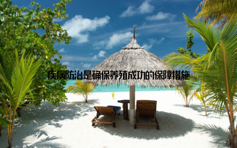 疾病防治是确保养殖成功的保障措施