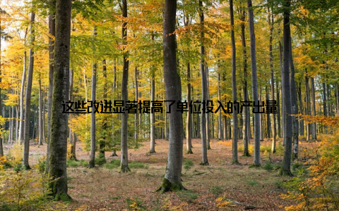 这些改进显著提高了单位投入的产出量