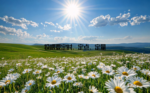 投喂要定时、定点、定量