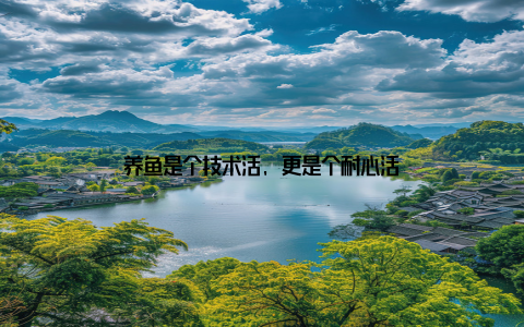 养鱼是个技术活, 更是个耐心活