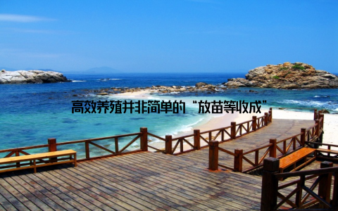 高效养殖并非简单的“放苗等收成”