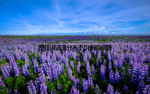 是培训资源分布不均衡的问题