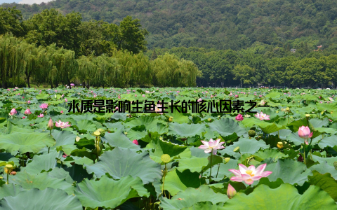 水质是影响生鱼生长的核心因素之一