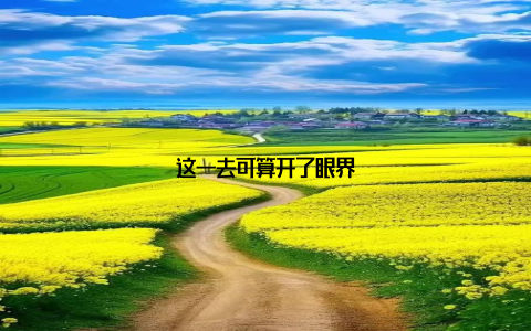 这一去可算开了眼界