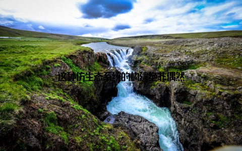 这种仿生态系统的构建绝非偶然