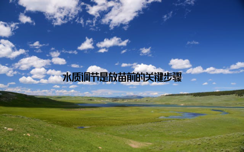 水质调节是放苗前的关键步骤