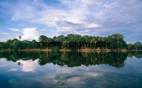 – 定期修剪防止腐烂导致水质恶化