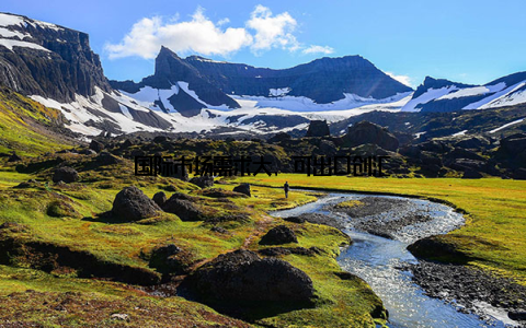 国际市场需求大, 可出口创汇