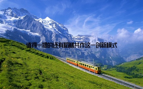 值得一提的还有稻鳝共作这一创新模式