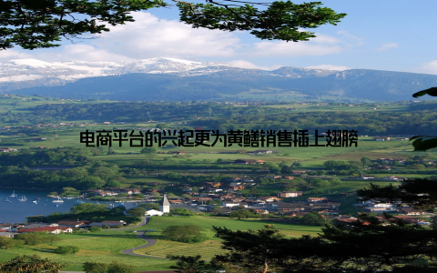 电商平台的兴起更为黄鳝销售插上翅膀