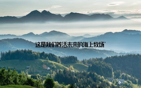 这是我们养活未来的海上牧场’