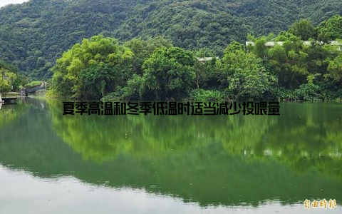 夏季高温和冬季低温时适当减少投喂量