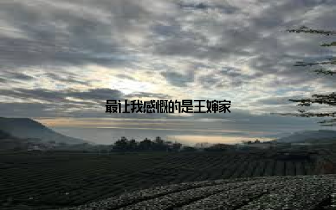 最让我感慨的是王婶家